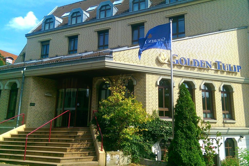 Golden Tulip